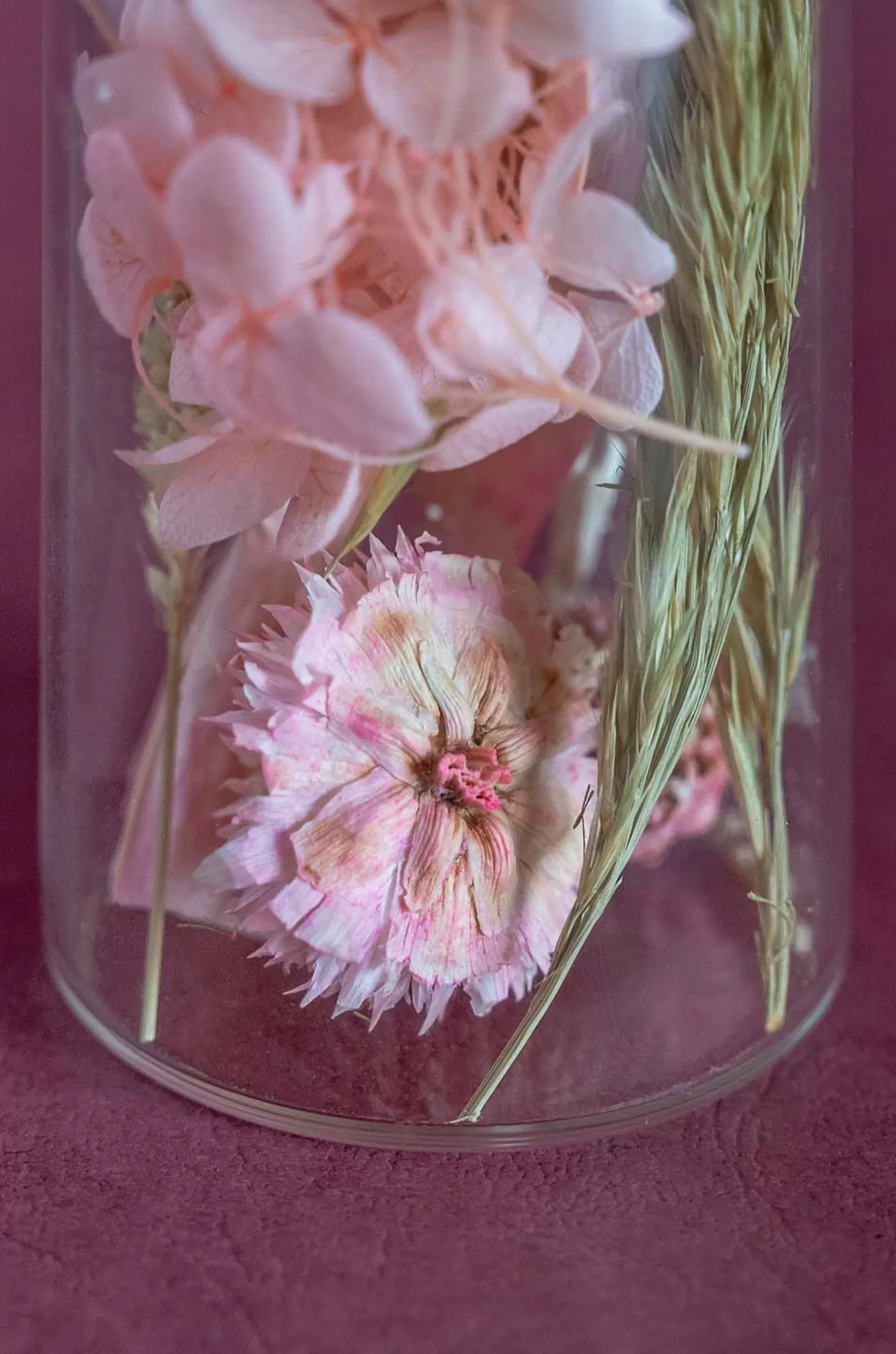 Nature's Mania Dried Flowers^Aurora Natural Dried Flowers In Glass Tube With Cork Lid