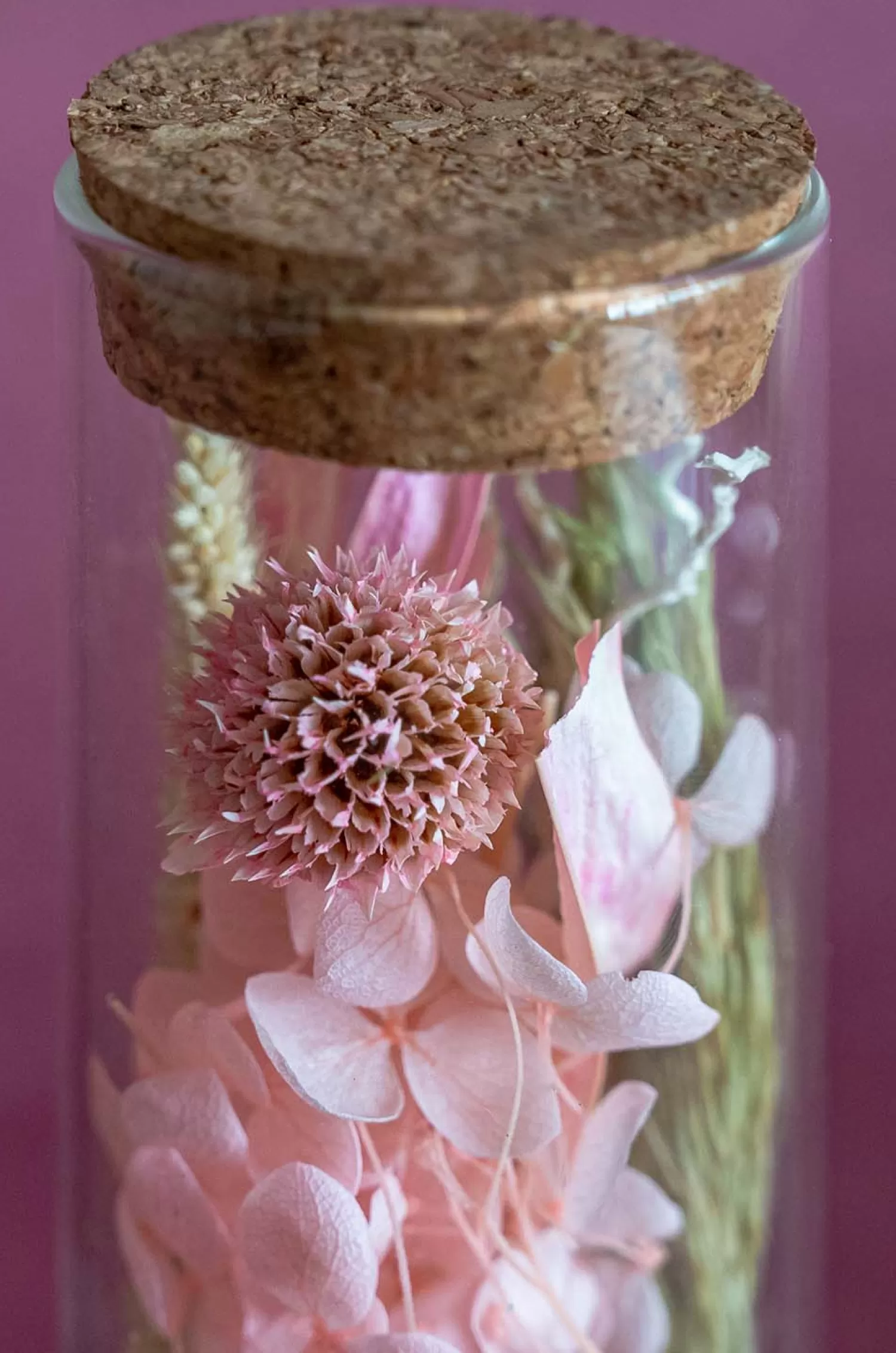 Nature's Mania Bath^Aurora Natural Dried Flowers In Glass Tube With Cork Lid