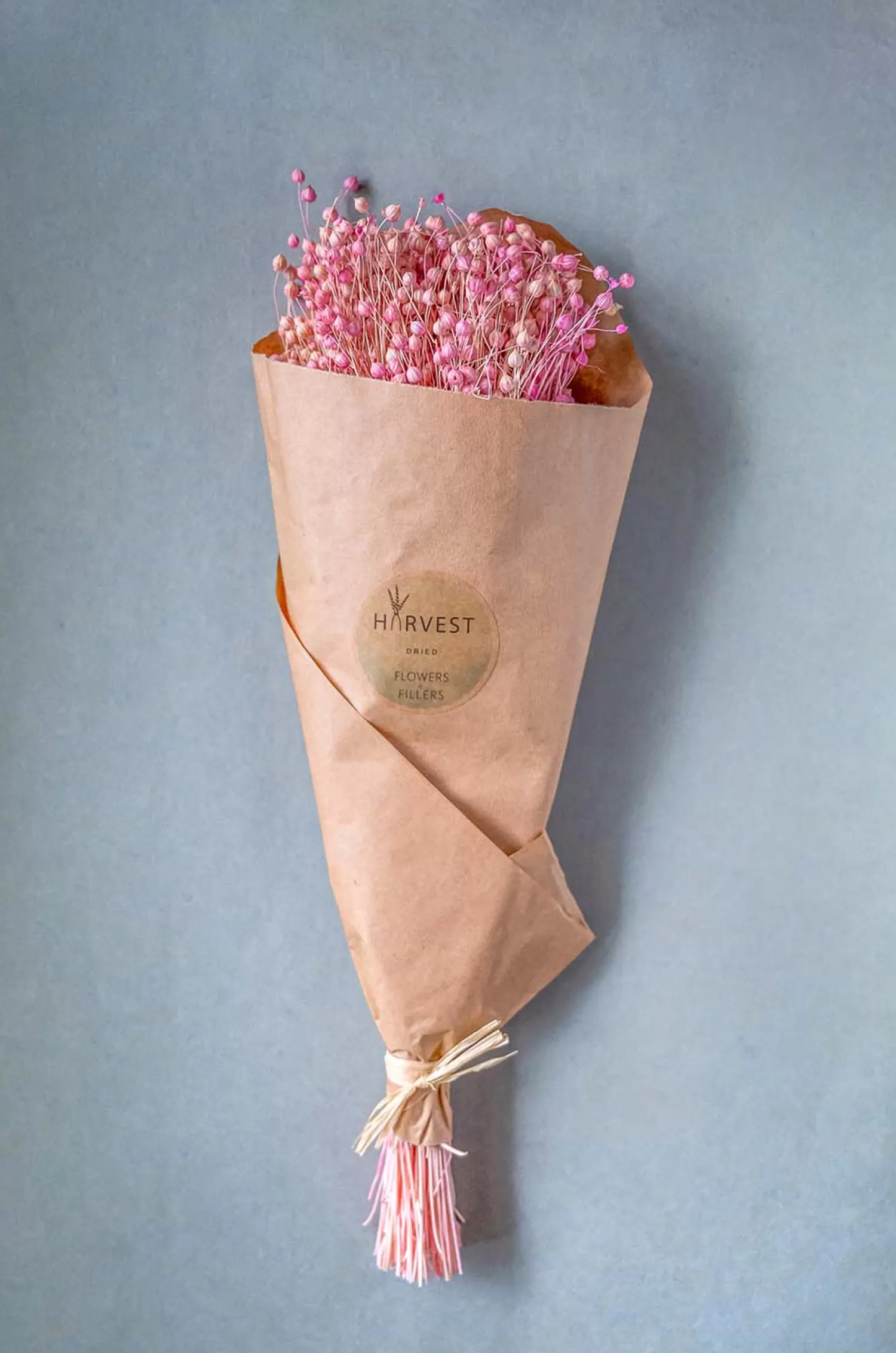 Nature's Mania Dried Flowers^Blossoms Natural Dried Flowers Bouquet - 50Cm