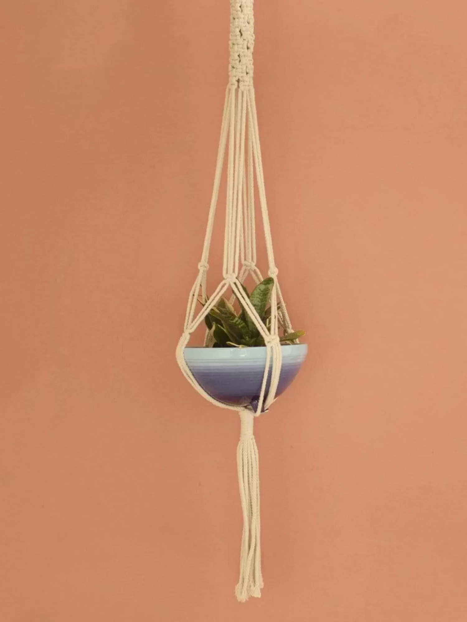 * Vases & Planters^Knotted Planter Hanging