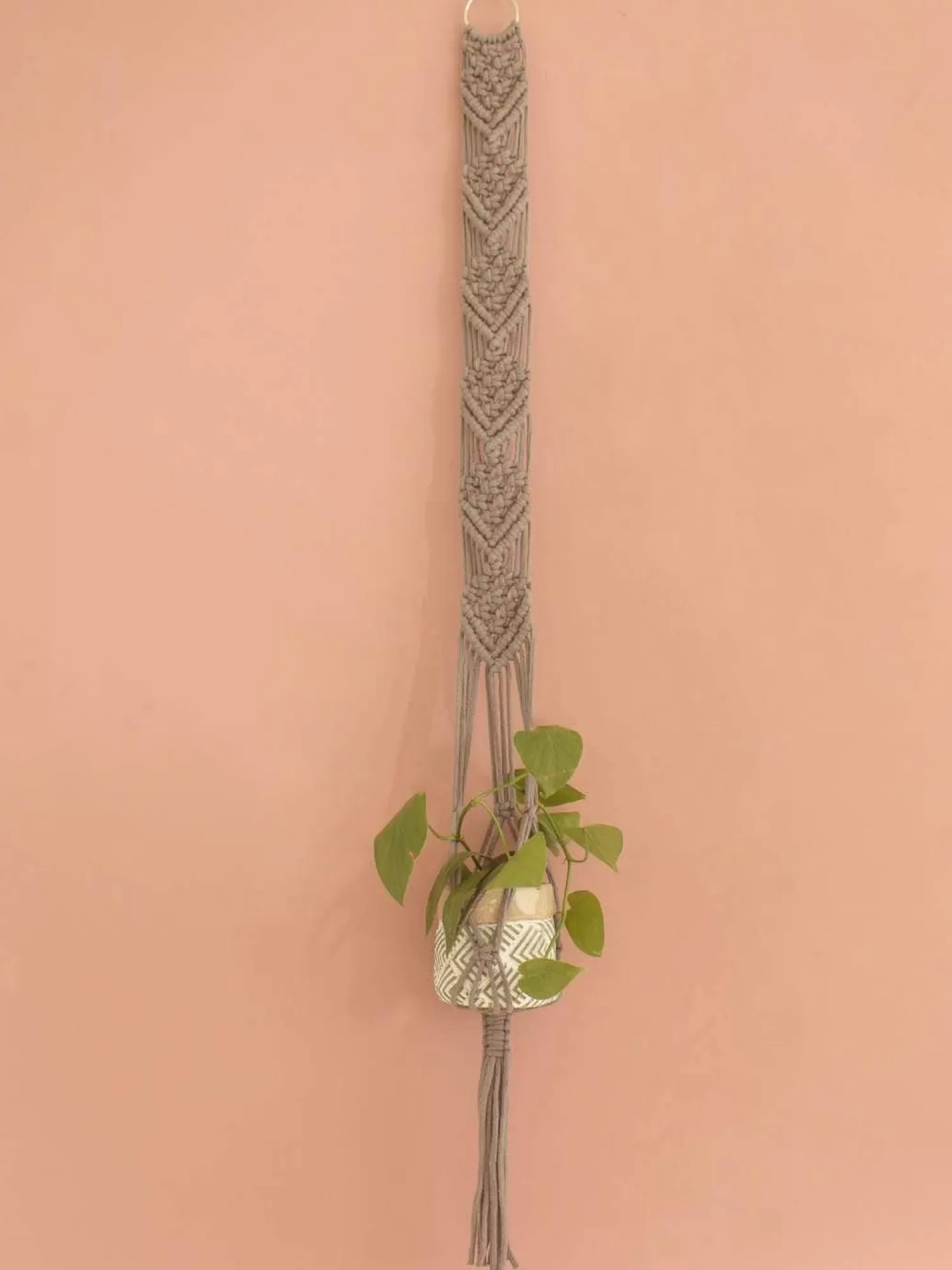 Shivam Storage^Lace Cable Macrame Wall Planter Holder