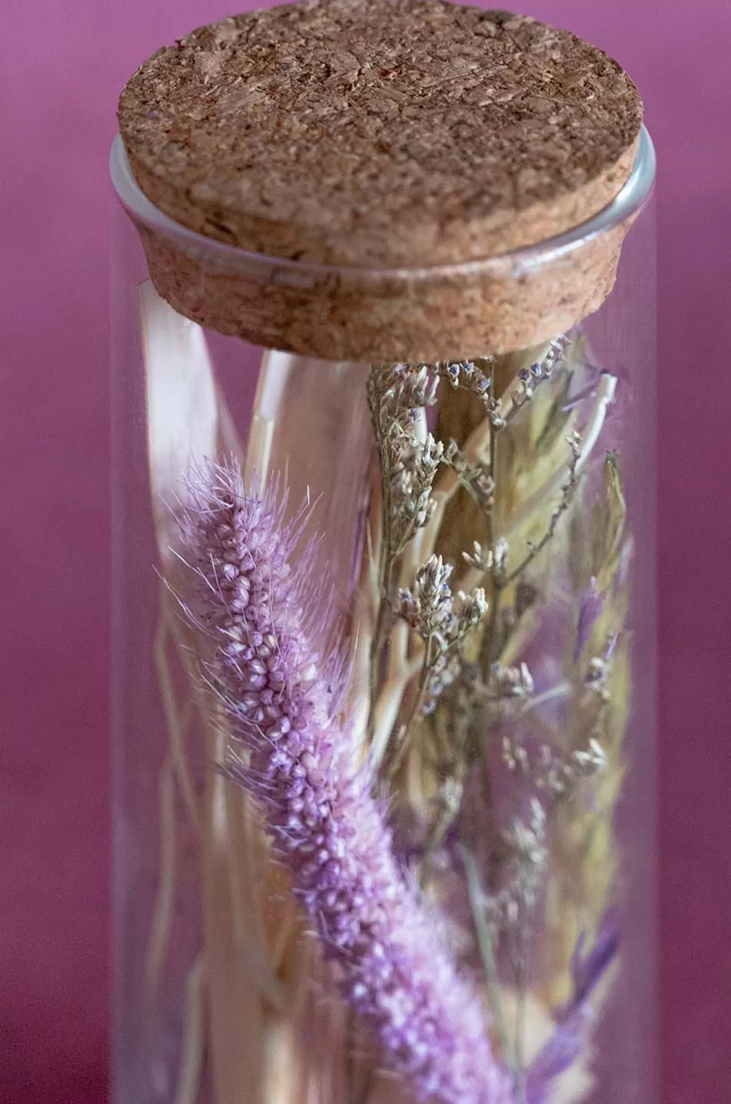 Nature's Mania Dried Flowers^Lavenderia Natural Dried Flowers In Glass Tube With Cork Lid