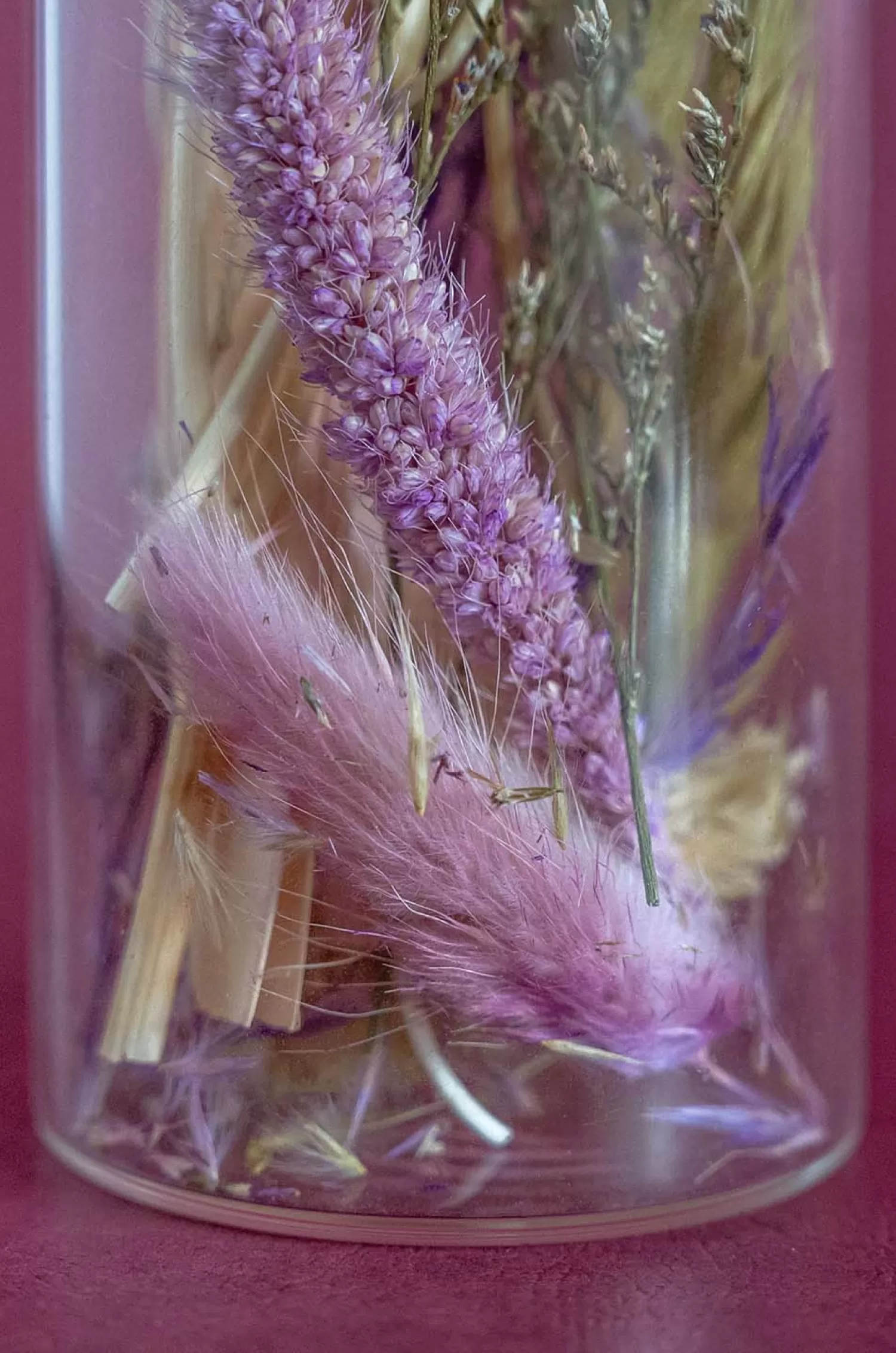 Nature's Mania Dried Flowers^Lavenderia Natural Dried Flowers In Glass Tube With Cork Lid